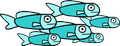 Fish type 4