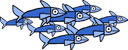 Fish type 5