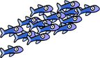 Fish type 1